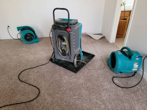 Best Water damage restoration mold remediation  in Lees Summit, MO