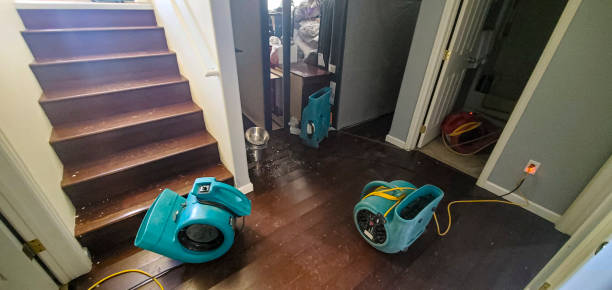 Best Flooded house restoration  in Lees Summit, MO
