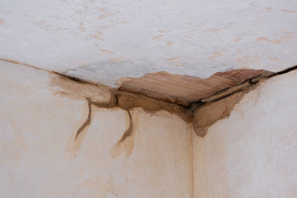 Lees Summit, MO Water damage restoration Company