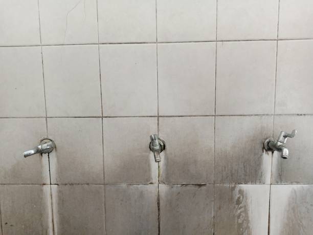 Best Flood restoration services  in Lees Summit, MO