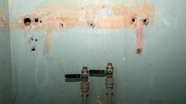 Best Water damage restoration near me  in Lees Summit, MO