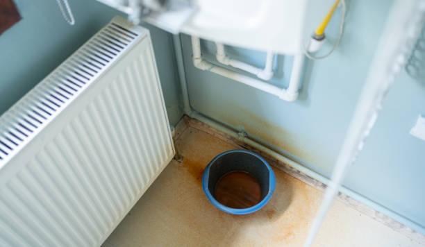 Best Carpet water damage restoration  in Lees Summit, MO