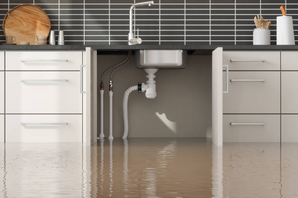 Best Water damage cleanup near me  in Lees Summit, MO